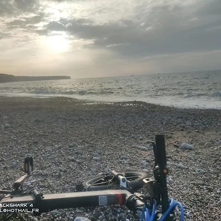 T1 Centre 1500m De La 15 Km De L'etretat 公寓